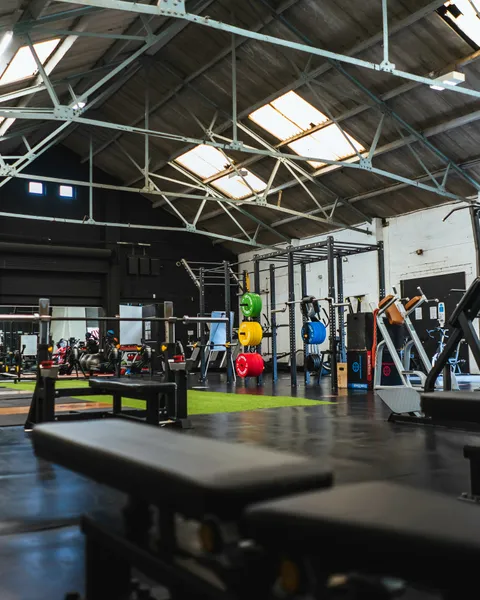 The gym floor